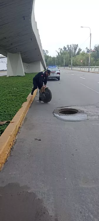 reponen tapa de buzon