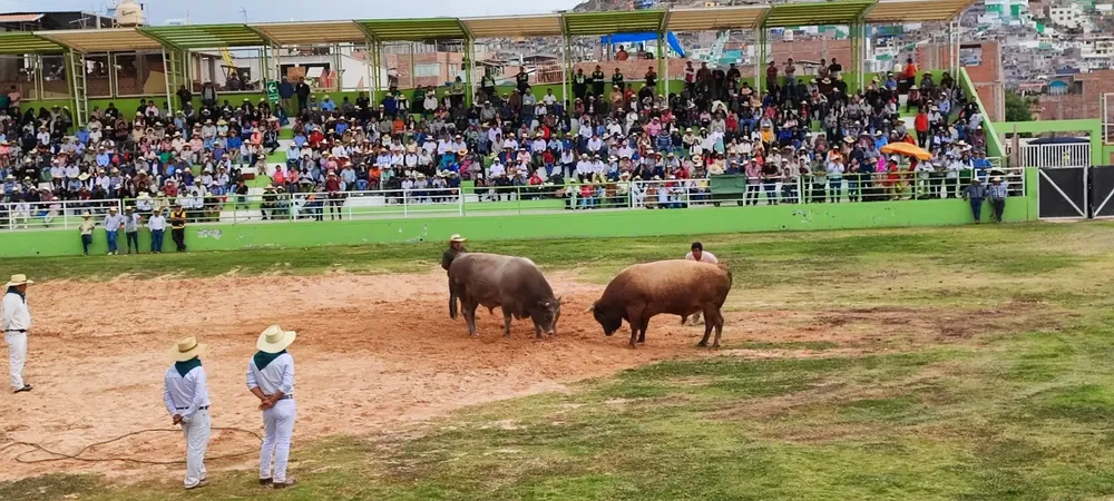 WhatsApp Image 2026-01-16 at 3.50.46 PM