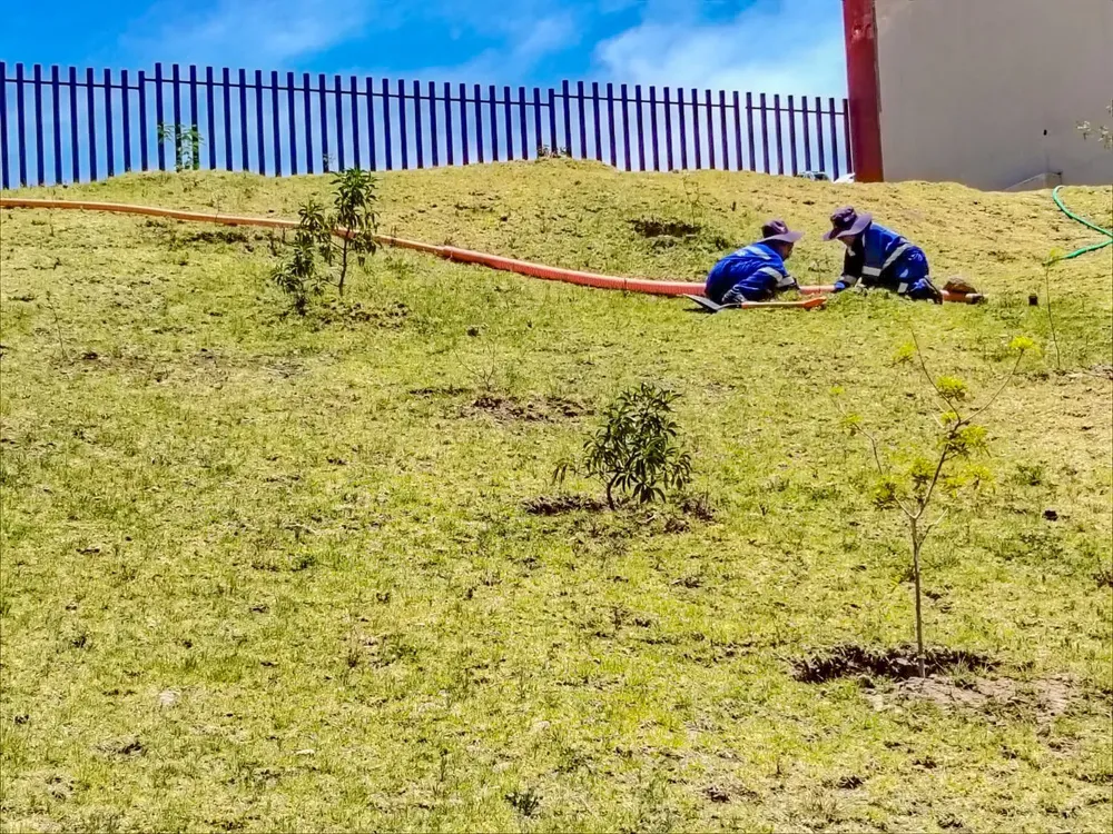 WhatsApp Image 2025-11-10 at 4.58.04 PM