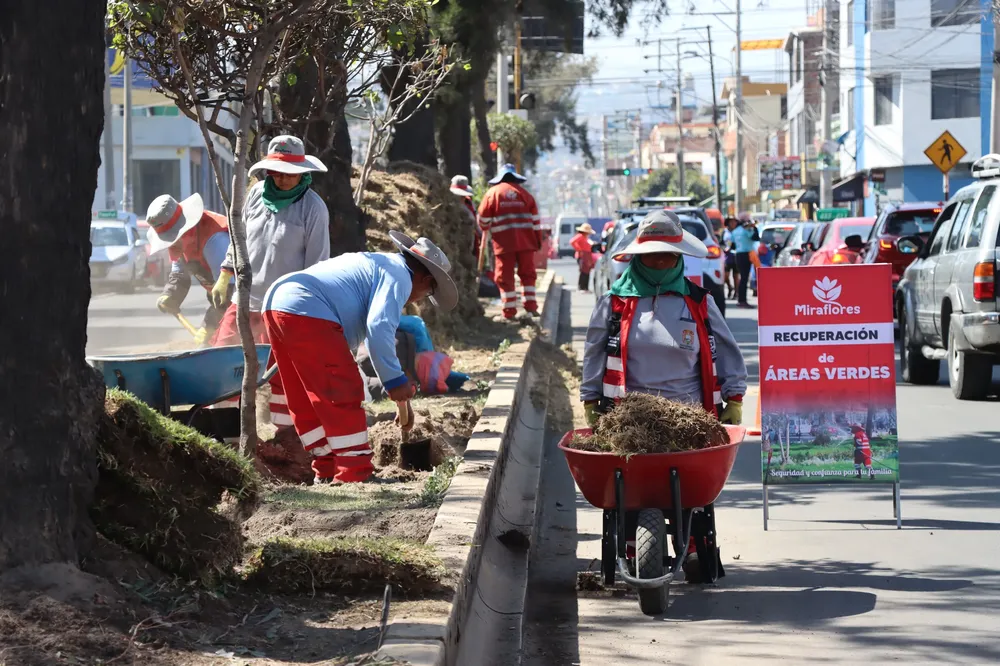 inician labores de mantenimiento en áreas verdes de Av. Sepúlveda - Miraflores