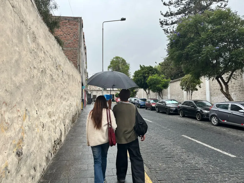 WhatsApp Image 2026-01-17 at 10.02.27 AM