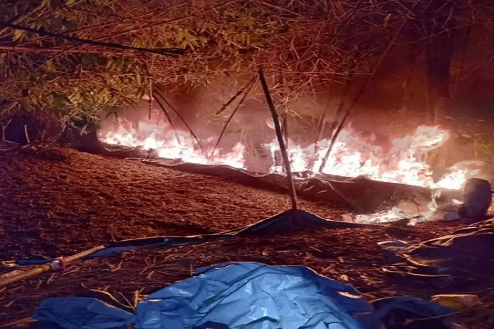 destruyen más de 7 tn de hoja de coca