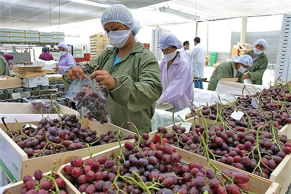 68b0034c-f1c7-485e-b6f8-8398edd782b6