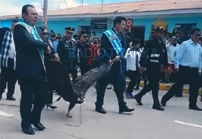 Rescatan a cóndor que fue exhibido por autoridades ediles en desfile de fiestas patrias en Apurímac