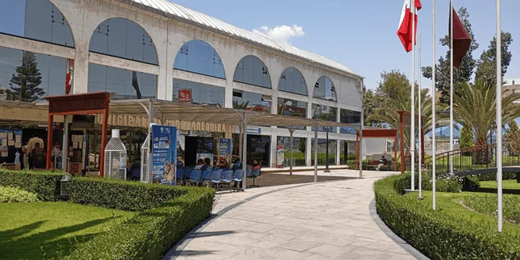 fotos-BAM-2025-01-28T132719.545-750x375