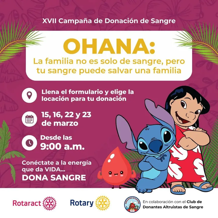 483072729_18018929654676648_1979612579856786559_n