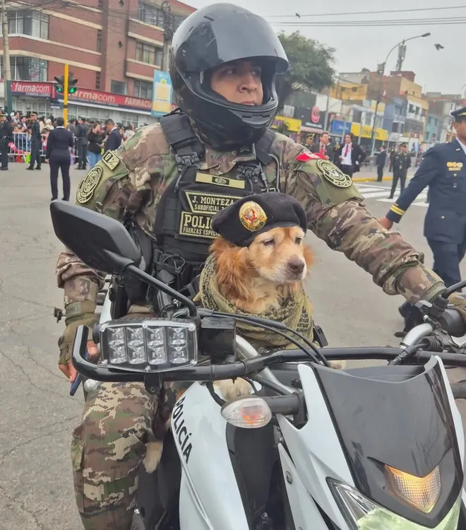 524831151_1350239393770043_6629696686257404540_n