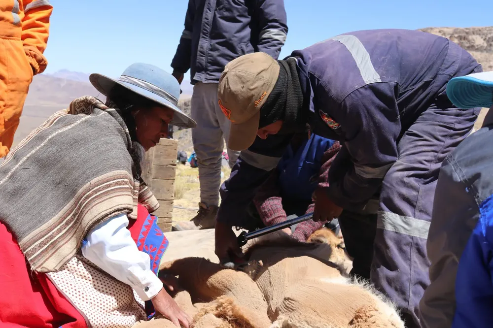 1323782-whatsapp-image-2025-12-30-at-4-49-34-pm