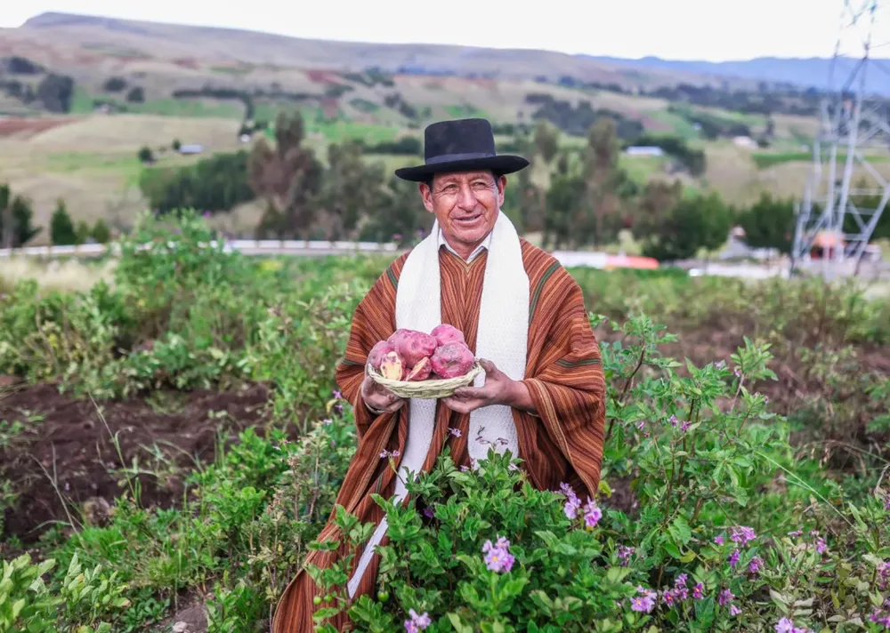 1da187fc-cd55-407d-99a2-91c573702d9a