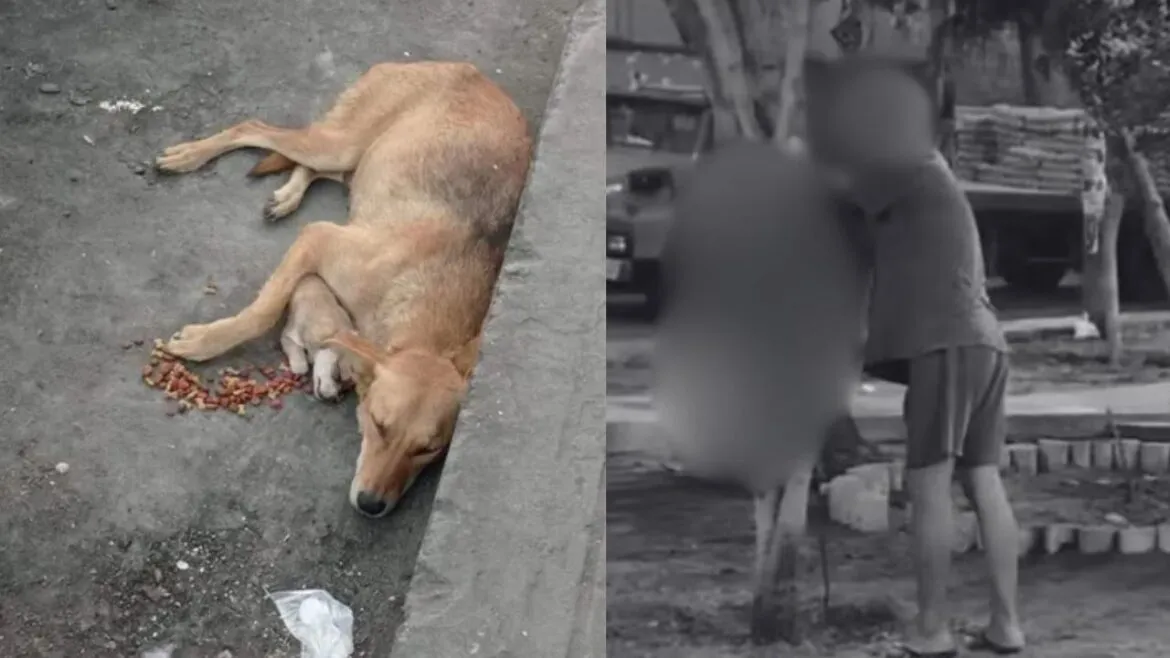 Diseno-sin-titulo-31-1170x658